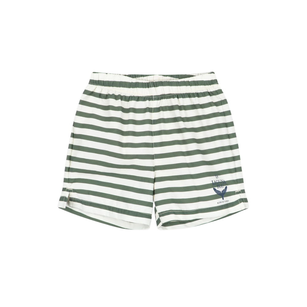 Asnou Swim Shorts | Stripe Verti
