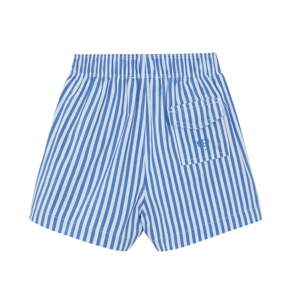 Striped Swim Trunks | Indigo