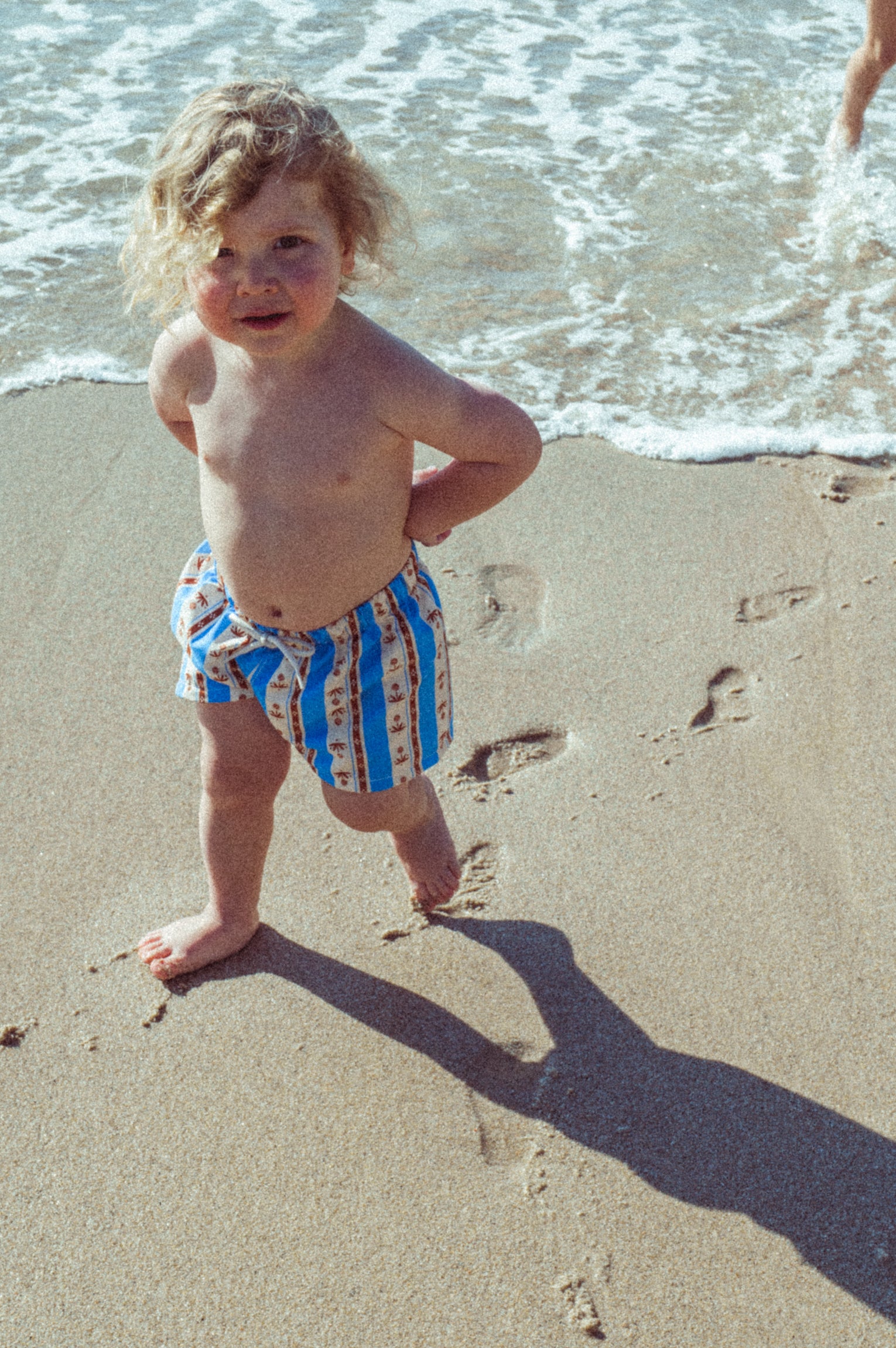 Sena Swim Shorts