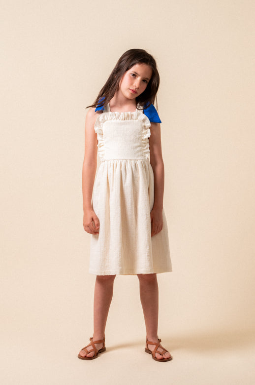 Plumetis Midi Dress