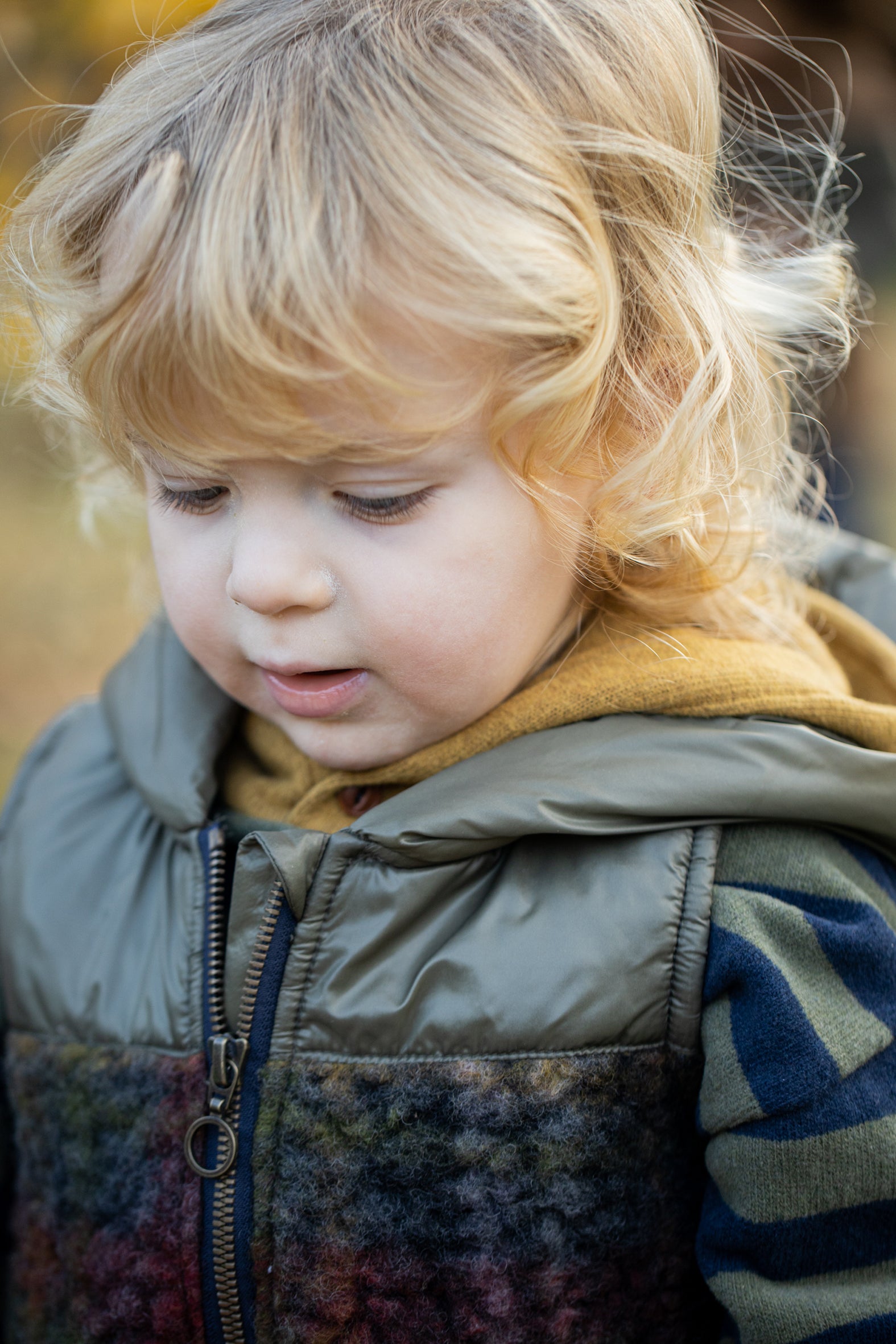 Columbia Padded Vest | Blue