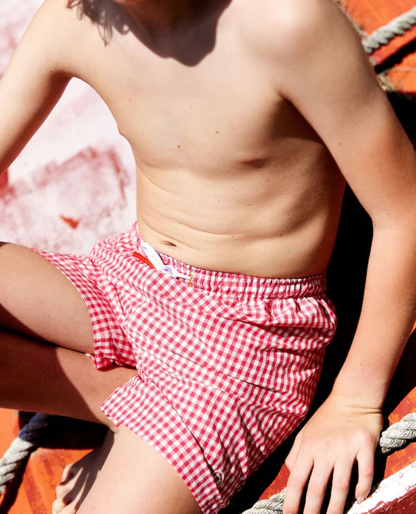 Diego Swim Shorts | Vichy Raspberry