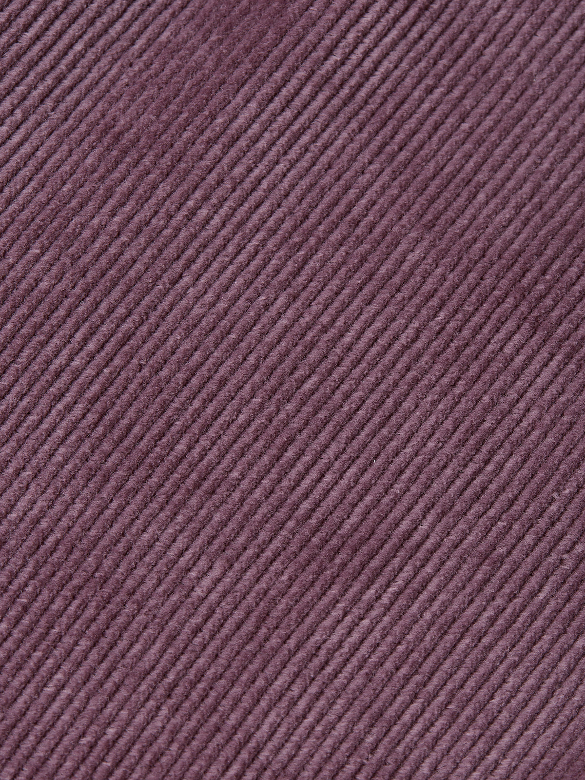 Velvet Ribbed Leggings | Moonscape